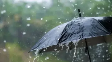 نشرية خاصة: أمطار غزيرة تتعدى الـ 40 ملم عبر 17 ولاية – الشروق أونلاين