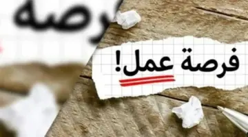 وظائف شاغرة بوزارة النقل عبر بوابة الوظائف الحكومية