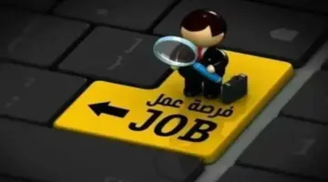 3068 فرصة عمل جديدة في 12 محافظة.. الشروط والأوراق المطلوبة وآخر موعد للتقديم