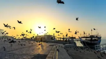الأرصاد: رياح قوية وأمواج عالية في البحر نهارًا