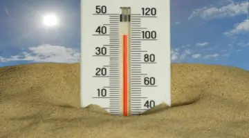 دراسة جديدة: بلجيكا تواجه موجات حر أطول وأكثر تكرارًا بسبب التغير المناخي – شبكة بلجيكا 24 الإخبارية