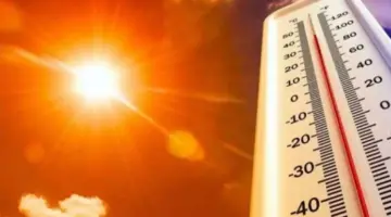 عاجل.. الأرصاد تحذر من طقس شديد الحرارة وشبورة كثيفة حتى نهاية الأسبوع المقبل