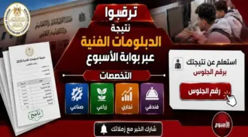 نتيجة الدبلومات الفنية 2026.. رابط رسمي للاستعلام عبر «الأسبوع» فور إعلانها